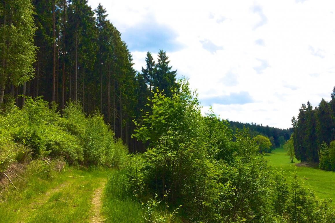 Nordic Walking: fast 8 Kilometer