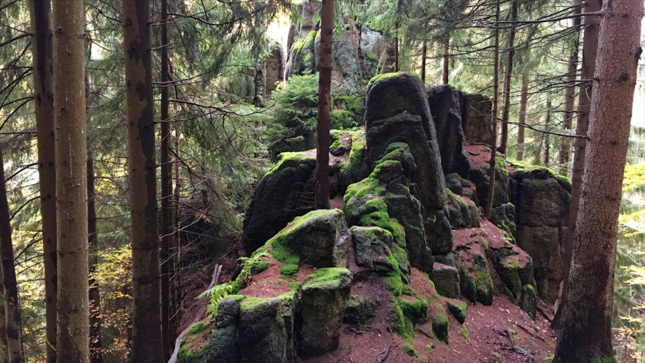 Wildes Erzgebirge – Runde über den Auersberg - Höllengrundspitze